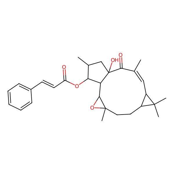 2D Structure of (+)-(12E,2S,3S,4R,5R,6R,9S,11S,15R)-3-cinnamoyloxy-5,6-epoxylathyr-12-en-15-ol-14-one