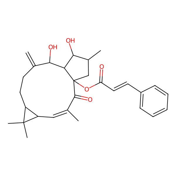 2D Structure of (+)-(12E,2S,3S,4R,5R,9S,11S,15R)-15-cinnamoyloxy-lathyra-6(17),12-diene-3,5-diol-14-one