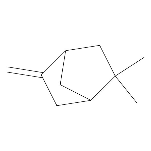 2D Structure of (1R,4R)-2,2-dimethyl-5-methylidenebicyclo[2.2.1]heptane