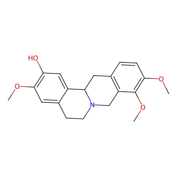 2D Structure of (+/-)-Isocorypalmine