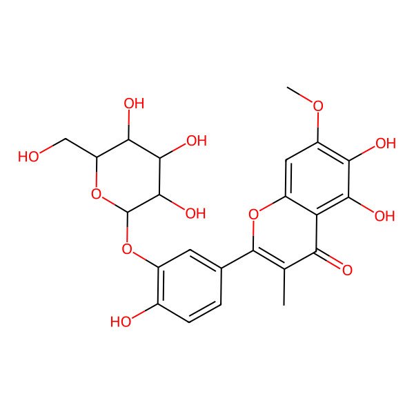 2D Structure of 5,6-dihydroxy-2-[4-hydroxy-3-[(2S,3R,4S,5S,6R)-3,4,5-trihydroxy-6-(hydroxymethyl)oxan-2-yl]oxyphenyl]-7-methoxy-3-methylchromen-4-one