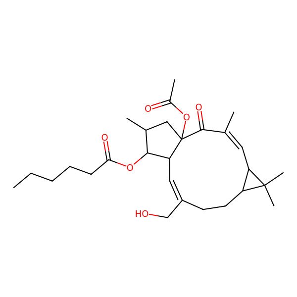 2D Structure of [(1R,3E,5R,7S,10Z,12S,13S,14S)-1-acetyloxy-10-(hydroxymethyl)-3,6,6,14-tetramethyl-2-oxo-13-tricyclo[10.3.0.05,7]pentadeca-3,10-dienyl] hexanoate