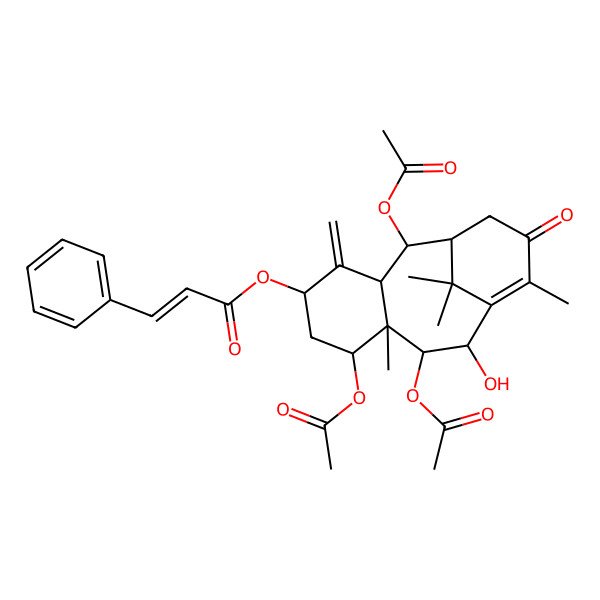 2D Structure of [(2R,3R,5S,7S,8S,9R,10R)-2,7,9-triacetyloxy-10-hydroxy-8,12,15,15-tetramethyl-4-methylidene-13-oxo-5-tricyclo[9.3.1.03,8]pentadec-11-enyl] (E)-3-phenylprop-2-enoate