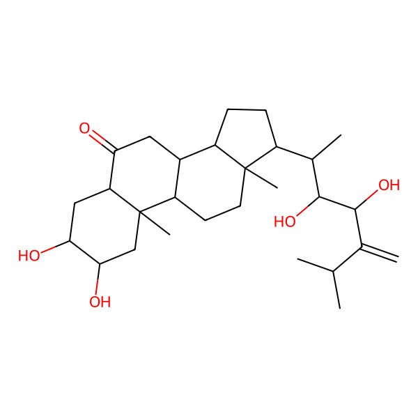 2D Structure of (2R,3S,5S,8S,9S,10R,13S,14S,17R)-17-[(2S,3R,4R)-3,4-Dihydroxy-6-methyl-5-methylideneheptan-2-yl]-2,3-dihydroxy-10,13-dimethyl-1,2,3,4,5,7,8,9,11,12,14,15,16,17-tetradecahydrocyclopenta[a]phenanthren-6-one