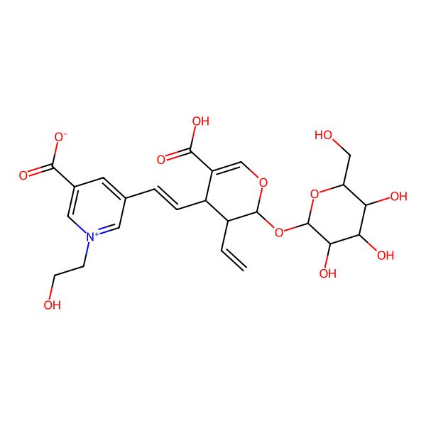 2D Structure of 5-[(E)-2-[(2S,3R,4S)-5-carboxy-3-ethenyl-2-[(2S,3R,4S,5S,6R)-3,4,5-trihydroxy-6-(hydroxymethyl)oxan-2-yl]oxy-3,4-dihydro-2H-pyran-4-yl]ethenyl]-1-(2-hydroxyethyl)pyridin-1-ium-3-carboxylate