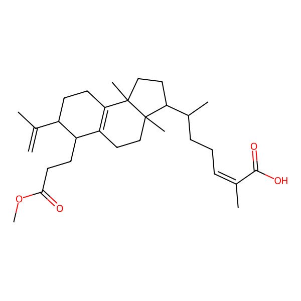 2D Structure of (Z,6R)-6-[(3R,3aR,6S,7S,9bR)-6-(3-methoxy-3-oxopropyl)-3a,9b-dimethyl-7-prop-1-en-2-yl-2,3,4,5,6,7,8,9-octahydro-1H-cyclopenta[a]naphthalen-3-yl]-2-methylhept-2-enoic acid