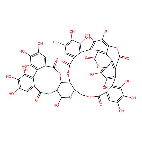 2D Structure of (1R,35R,37R,38R,55S)-6,7,8,11,12,23,24,27,28,29,37,43,44,45,48,49,50-heptadecahydroxy-2,14,21,33,36,39,54-heptaoxaundecacyclo[33.20.0.04,9.010,19.013,18.016,25.017,22.026,31.038,55.041,46.047,52]pentapentaconta-4,6,8,10,12,16,18,22,24,26,28,30,41,43,45,47,49,51-octadecaene-3,15,20,32,40,53-hexone