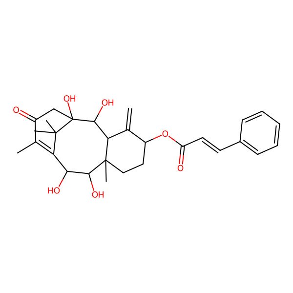 2D Structure of [(1S,2S,5S,8R,9R,10R)-1,2,9,10-tetrahydroxy-8,12,15,15-tetramethyl-4-methylidene-13-oxo-5-tricyclo[9.3.1.03,8]pentadec-11-enyl] (E)-3-phenylprop-2-enoate