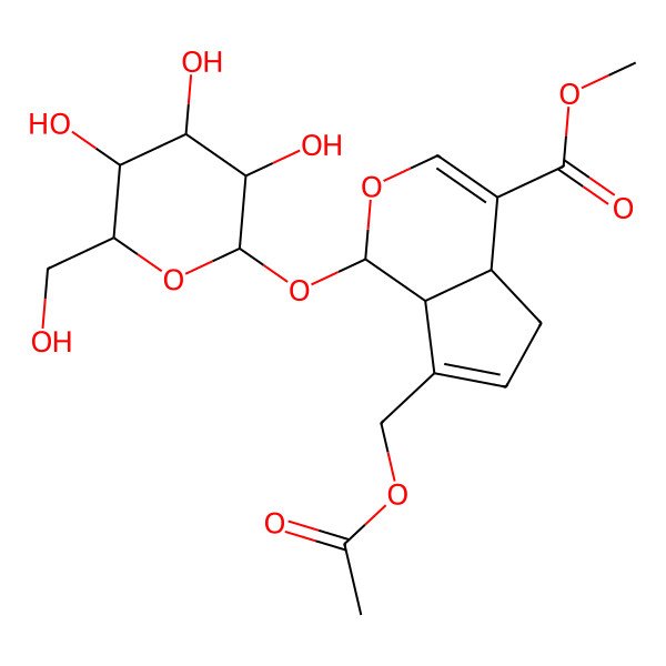 2D Structure of 10-O-Acetylgeniposide 2D Structure of 10-O-Acetylgeniposide