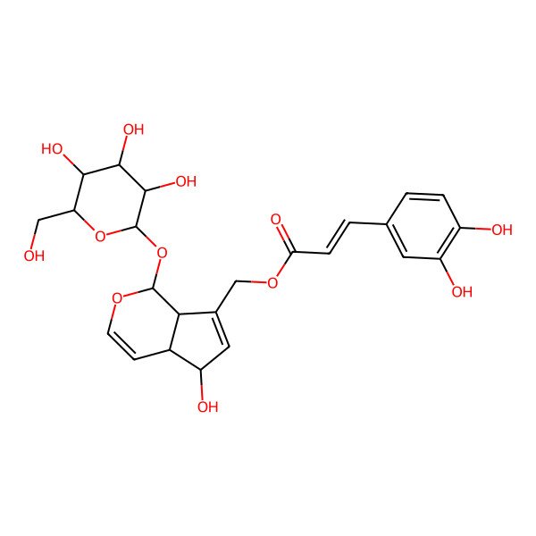 2D Structure of 10-O-Caffeoylaucubin