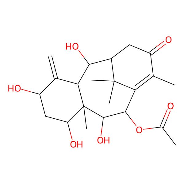 2D Structure of 10beta-Acetoxy-2alpha,5alpha,7beta,9alpha-tetrahydroxytaxa-4(20),11-diene-13-one