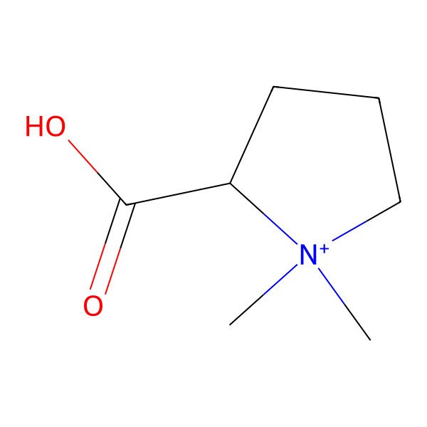 2D Structure of 1,1-Dimethyl-prolinium