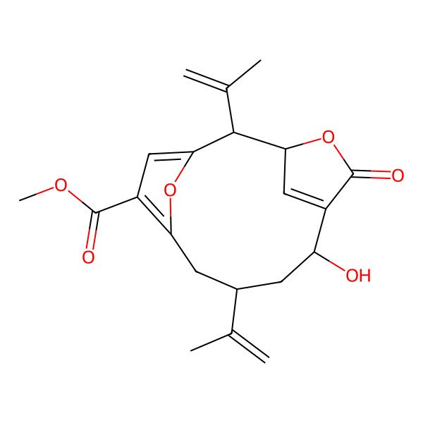 2D Structure of 11-Gorgiacerol