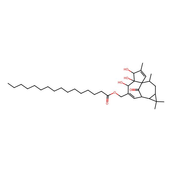 2D Structure of [(1S,4S,5R,6R,9S,14R)-4,5,6-trihydroxy-3,11,11,14-tetramethyl-15-oxo-7-tetracyclo[7.5.1.01,5.010,12]pentadeca-2,7-dienyl]methyl hexadecanoate