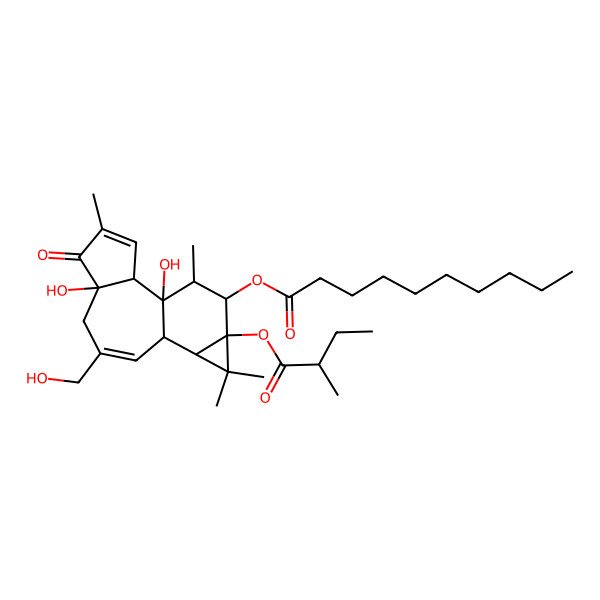 2D Structure of 12-O-Decanoylphorbol-13-(2-methylbutyrate)