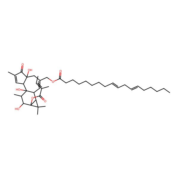 2D Structure of 13-O-Tigloylphorbol-20-linoleate
