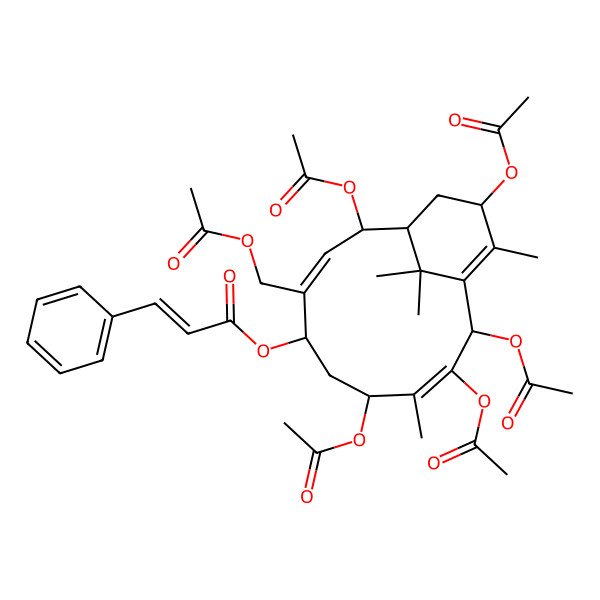 2D Structure of [(1R,2S,3E,5S,7S,8E,10R,13S)-2,7,9,10,13-pentaacetyloxy-4-(acetyloxymethyl)-8,12,15,15-tetramethyl-5-bicyclo[9.3.1]pentadeca-3,8,11-trienyl] (E)-3-phenylprop-2-enoate