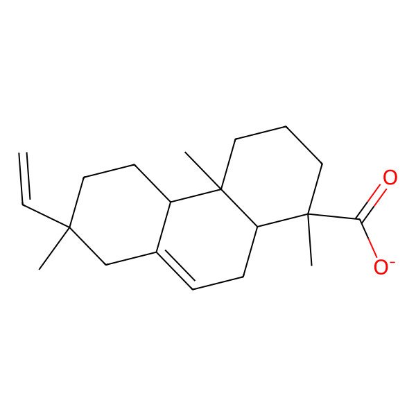 2D Structure of (1R,4aR,4bS,7S)-7-ethenyl-1,4a,7-trimethyl-3,4,4b,5,6,8,10,10a-octahydro-2H-phenanthrene-1-carboxylate 2D Structure of (1R,4aR,4bS,7S)-7-ethenyl-1,4a,7-trimethyl-3,4,4b,5,6,8,10,10a-octahydro-2H-phenanthrene-1-carboxylate