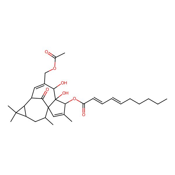 2D Structure of [(1S,4S,5S,6R,9R,10R,12R,14R)-7-(acetyloxymethyl)-5,6-dihydroxy-3,11,11,14-tetramethyl-15-oxo-4-tetracyclo[7.5.1.01,5.010,12]pentadeca-2,7-dienyl] (2E,4E)-deca-2,4-dienoate