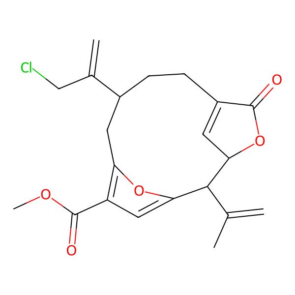 2D Structure of methyl (2R,3R,9R)-9-(3-chloroprop-1-en-2-yl)-5-oxo-2-prop-1-en-2-yl-4,14-dioxatricyclo[9.2.1.13,6]pentadeca-1(13),6(15),11-triene-12-carboxylate