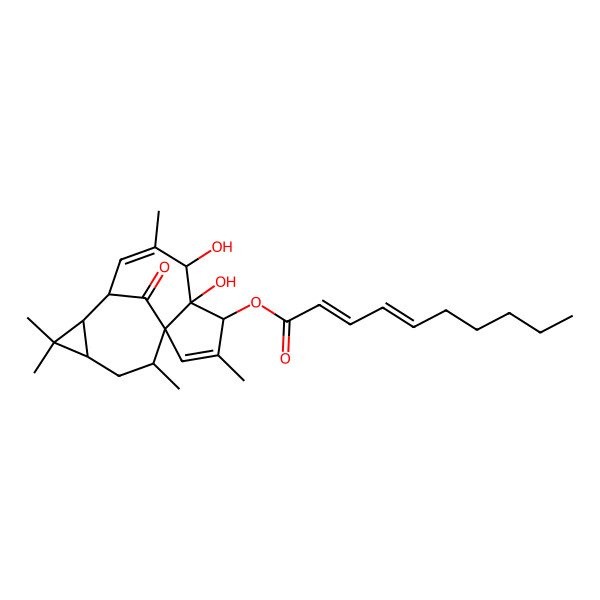 2D Structure of [(1S,4S,5S,6R,9S,10R,12R,14R)-5,6-dihydroxy-3,7,11,11,14-pentamethyl-15-oxo-4-tetracyclo[7.5.1.01,5.010,12]pentadeca-2,7-dienyl] (2E,4E)-deca-2,4-dienoate