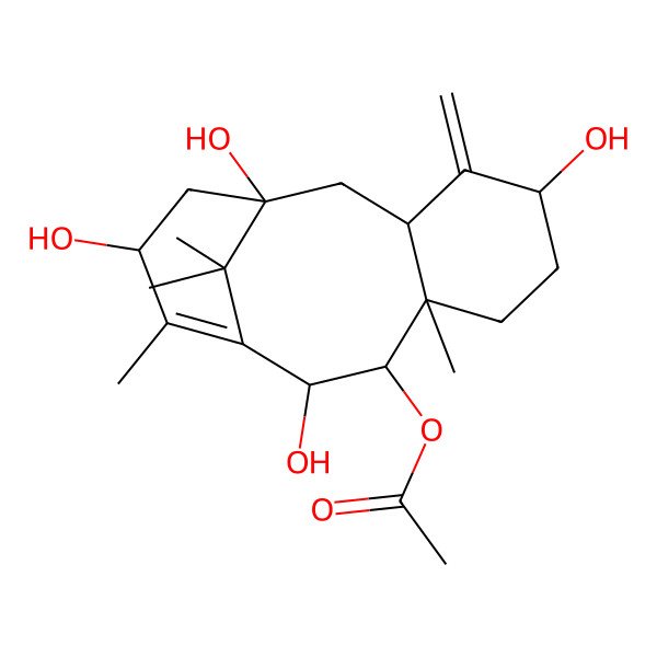 2D Structure of [(1S,3R,5S,8R,9R,10R,13S)-1,5,10,13-tetrahydroxy-8,12,15,15-tetramethyl-4-methylidene-9-tricyclo[9.3.1.03,8]pentadec-11-enyl] acetate