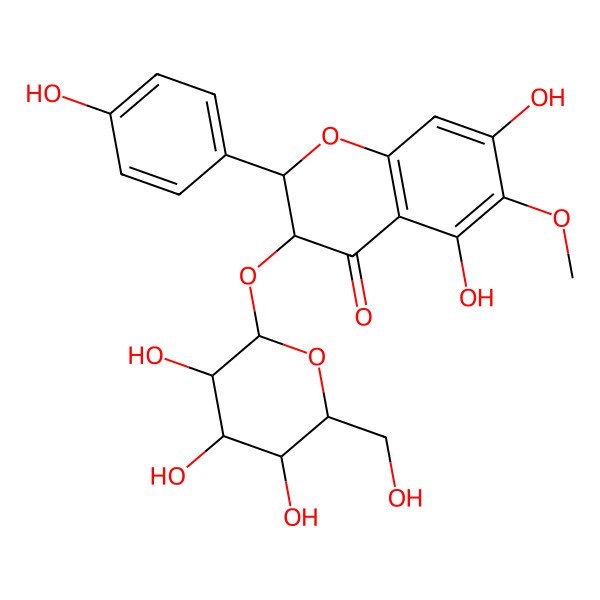 2D Structure of (2R,3R)-5,7-dihydroxy-2-(4-hydroxyphenyl)-6-methoxy-3-[(2S,3R,4S,5S,6R)-3,4,5-trihydroxy-6-(hydroxymethyl)oxan-2-yl]oxy-2,3-dihydrochromen-4-one
