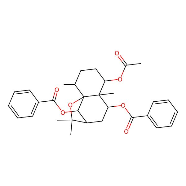 2D Structure of [(1S,2R,5S,6S,7S,9R,12R)-5-acetyloxy-12-benzoyloxy-2,6,10,10-tetramethyl-11-oxatricyclo[7.2.1.01,6]dodecan-7-yl] benzoate