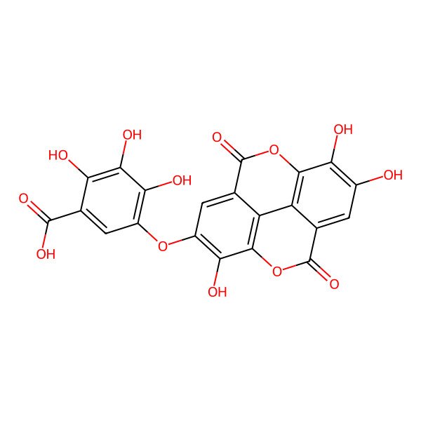 2D Structure of 2,3,4-Trihydroxy-5-[(7,13,14-trihydroxy-3,10-dioxo-2,9-dioxatetracyclo[6.6.2.04,16.011,15]hexadeca-1(15),4,6,8(16),11,13-hexaen-6-yl)oxy]benzoic acid