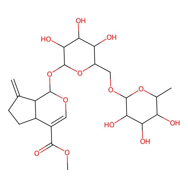 2D Structure of methyl (1S,4aS,7aS)-7-methylidene-1-[(2S,3R,4S,5S,6R)-3,4,5-trihydroxy-6-[[(2R,3R,4R,5S,6S)-3,4,5-trihydroxy-6-methyloxan-2-yl]oxymethyl]oxan-2-yl]oxy-4a,5,6,7a-tetrahydro-1H-cyclopenta[c]pyran-4-carboxylate