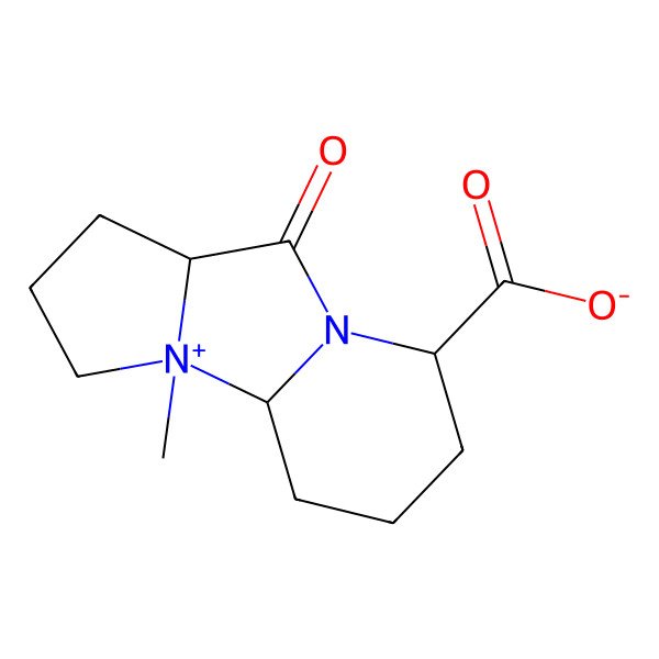 2D Structure of (1R,2S,6S,9S)-2-methyl-7-oxo-8-aza-2-azoniatricyclo[6.4.0.02,6]dodecane-9-carboxylate