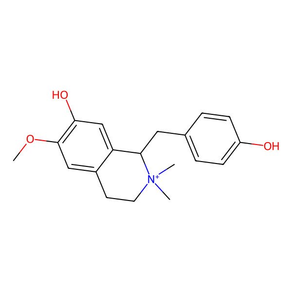 2D Structure of (1S)-1-[(4-hydroxyphenyl)methyl]-6-methoxy-2,2-dimethyl-3,4-dihydro-1H-isoquinolin-2-ium-7-ol