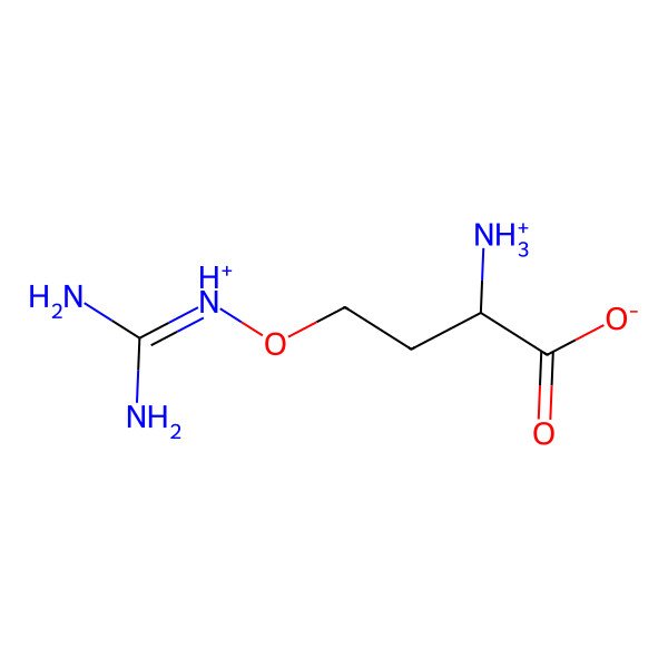 2D Structure of 2-Azaniumyl-4-(diaminomethylideneazaniumyloxy)butanoate