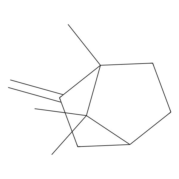 2D Structure of 2-Methylenebornane