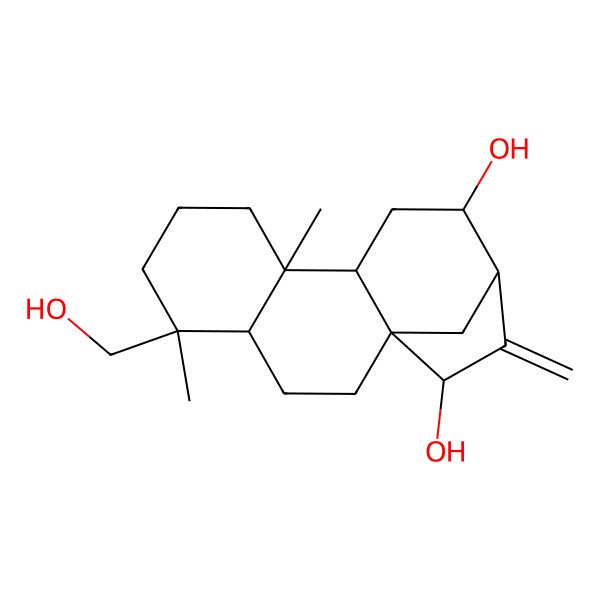 2D Structure of (1R,4S,5S,9R,10S,12S,13R,15R)-5-(hydroxymethyl)-5,9-dimethyl-14-methylidenetetracyclo[11.2.1.01,10.04,9]hexadecane-12,15-diol