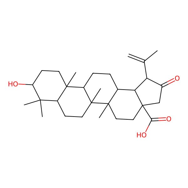 2D Structure of (1R,3aR,5aR,5bR,7aR,9S,11aR,11bR,13aR,13bS)-9-hydroxy-5a,5b,8,8,11a-pentamethyl-2-oxo-1-prop-1-en-2-yl-3,4,5,6,7,7a,9,10,11,11b,12,13,13a,13b-tetradecahydro-1H-cyclopenta[a]chrysene-3a-carboxylic acid