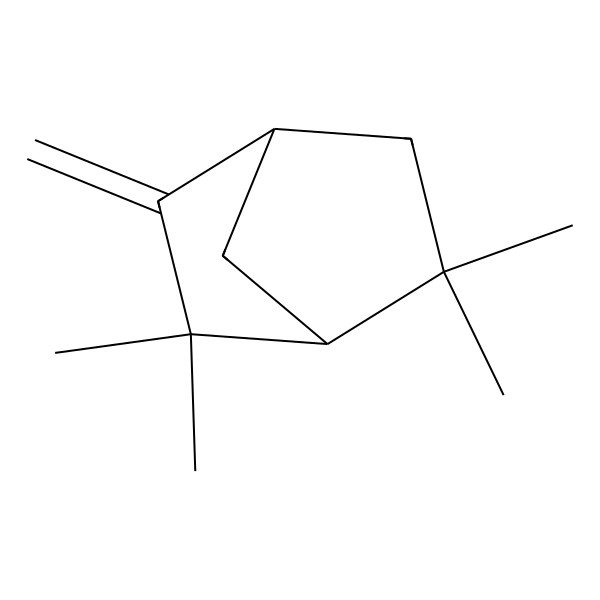 2D Structure of 2,2,6,6-Tetramethyl-3-methylidenebicyclo[2.2.1]heptane