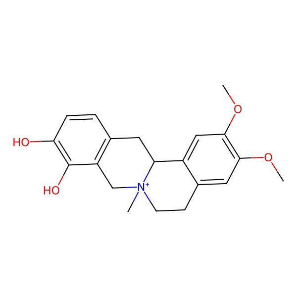 2D Structure of 2,3-dimethoxy-7-methyl-6,8,13,13a-tetrahydro-5H-isoquinolino[2,1-b]isoquinolin-7-ium-9,10-diol