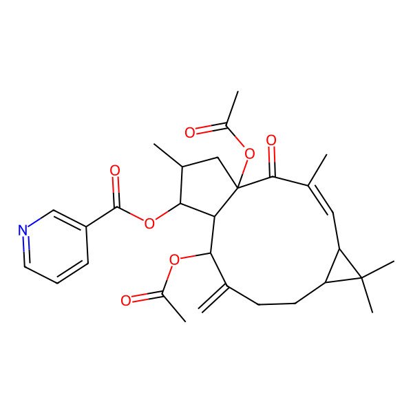 2D Structure of [(1R,3E,5S,7S,11R,12R,13S,14S)-1,11-diacetyloxy-3,6,6,14-tetramethyl-10-methylidene-2-oxo-13-tricyclo[10.3.0.05,7]pentadec-3-enyl] pyridine-3-carboxylate