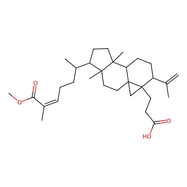 2D Structure of (24Z)-3,4-Seco-5alpha-cycloarta-4(28),24-diene-3,26-dioic acid 26-methyl ester