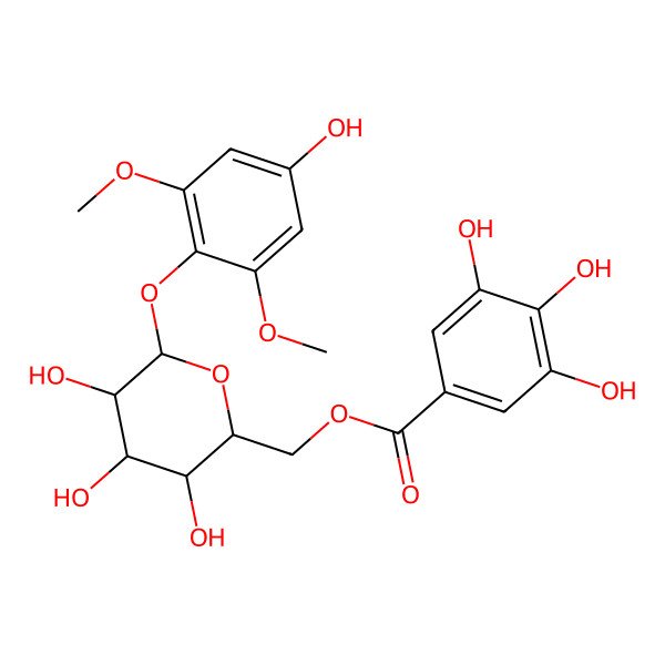 2D Structure of 2,6-Dimethoxy-4-hydroxyphenyl 6-O-galloyl-beta-D-glucopyranoside
