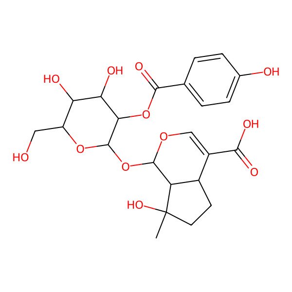 2D Structure of (1S,4aS,7S,7aS)-1-[(2R,3S,4R,5R,6S)-4,5-dihydroxy-3-(4-hydroxybenzoyl)oxy-6-(hydroxymethyl)tetrahydropyran-2-yl]oxy-7-hydroxy-7-methyl-4a,5,6,7a-tetrahydro-1H-cyclopenta[c]pyran-4-carboxylic acid