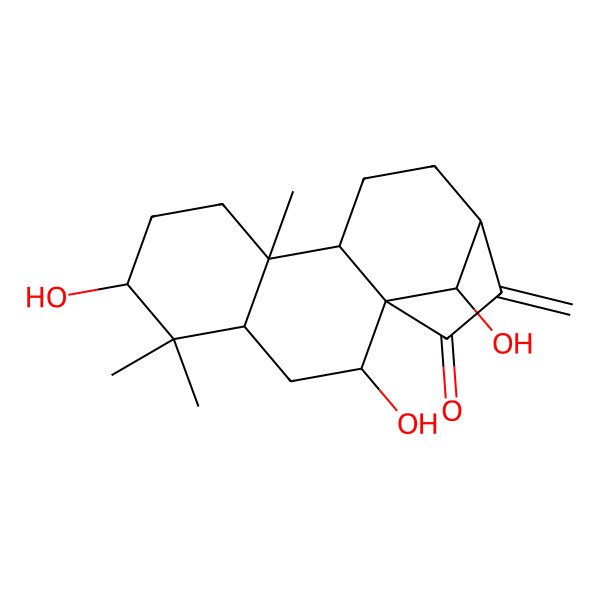 2D Structure of 2,6,16-Trihydroxy-5,5,9-trimethyl-14-methylidenetetracyclo[11.2.1.01,10.04,9]hexadecan-15-one