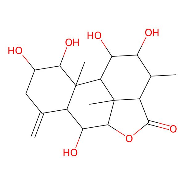 2D Structure of (1R,2S,3S,4S,7S,8R,9S,12S,13R,14R,15R,16R)-3,4,8,14,15-pentahydroxy-2,13,16-trimethyl-6-methylidene-10-oxatetracyclo[7.6.1.02,7.012,16]hexadecan-11-one