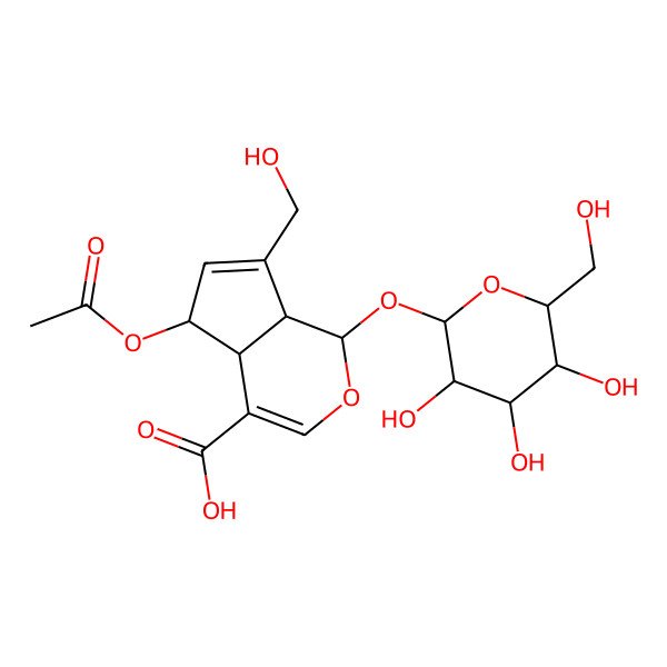 2D Structure of (1S,4aS,5S,7aS)-5-acetyloxy-7-(hydroxymethyl)-1-[(2S,3R,4S,5S,6R)-3,4,5-trihydroxy-6-(hydroxymethyl)oxan-2-yl]oxy-1,4a,5,7a-tetrahydrocyclopenta[c]pyran-4-carboxylic acid