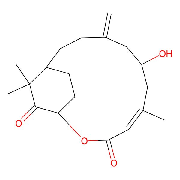 2D Structure of (1S,4Z,7S,12R)-7-hydroxy-5,13,13-trimethyl-9-methylidene-2-oxabicyclo[10.2.2]hexadec-4-ene-3,14-dione