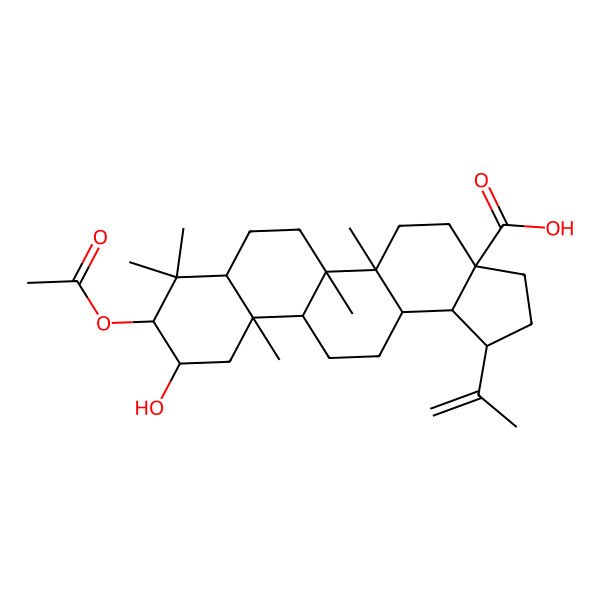 2D Structure of 2alpha-Hydroxy-3beta-acetyloxy-betulic acid