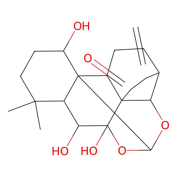 2D Structure of (1R,2S,5S,8R,9S,11S,13S,14S,15R,19S)-13,14,19-trihydroxy-16,16-dimethyl-6-methylidene-10,12-dioxahexacyclo[9.8.0.01,15.02,8.05,9.08,13]nonadecan-7-one