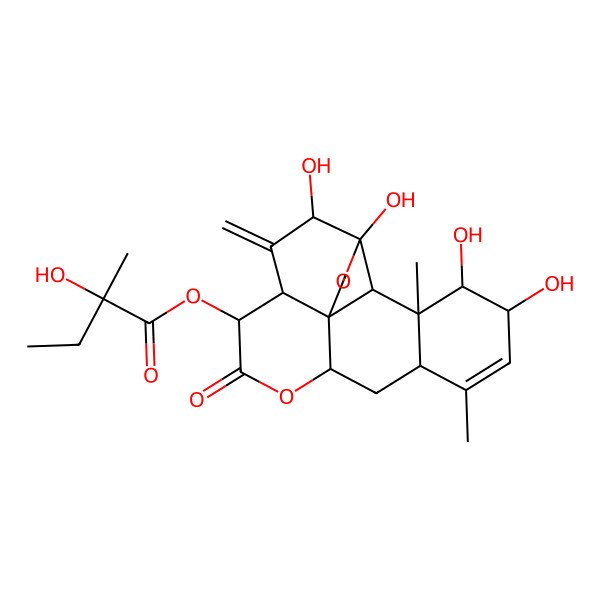 2D Structure of [(1S,4R,5R,7S,8R,11R,13S,16S,17S,18S,19R)-4,5,16,17-tetrahydroxy-14,18-dimethyl-6-methylidene-9-oxo-3,10-dioxapentacyclo[9.8.0.01,7.04,19.013,18]nonadec-14-en-8-yl] (2R)-2-hydroxy-2-methylbutanoate