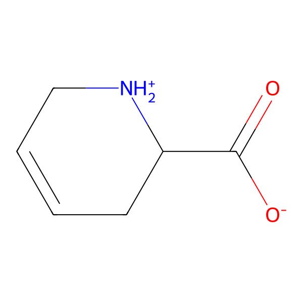 2D Structure of (2S)-1,2,3,6-tetrahydropyridin-1-ium-2-carboxylate 2D Structure of (2S)-1,2,3,6-tetrahydropyridin-1-ium-2-carboxylate